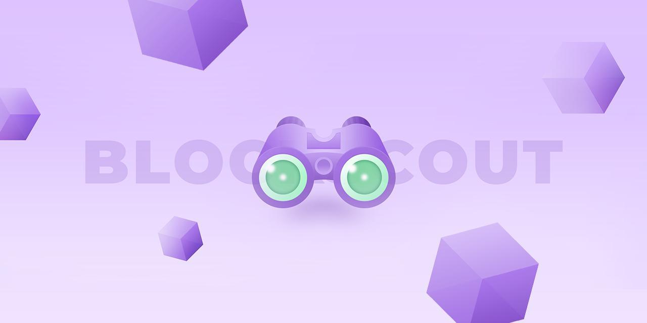 Blockscout Kurulum Hizmetleri